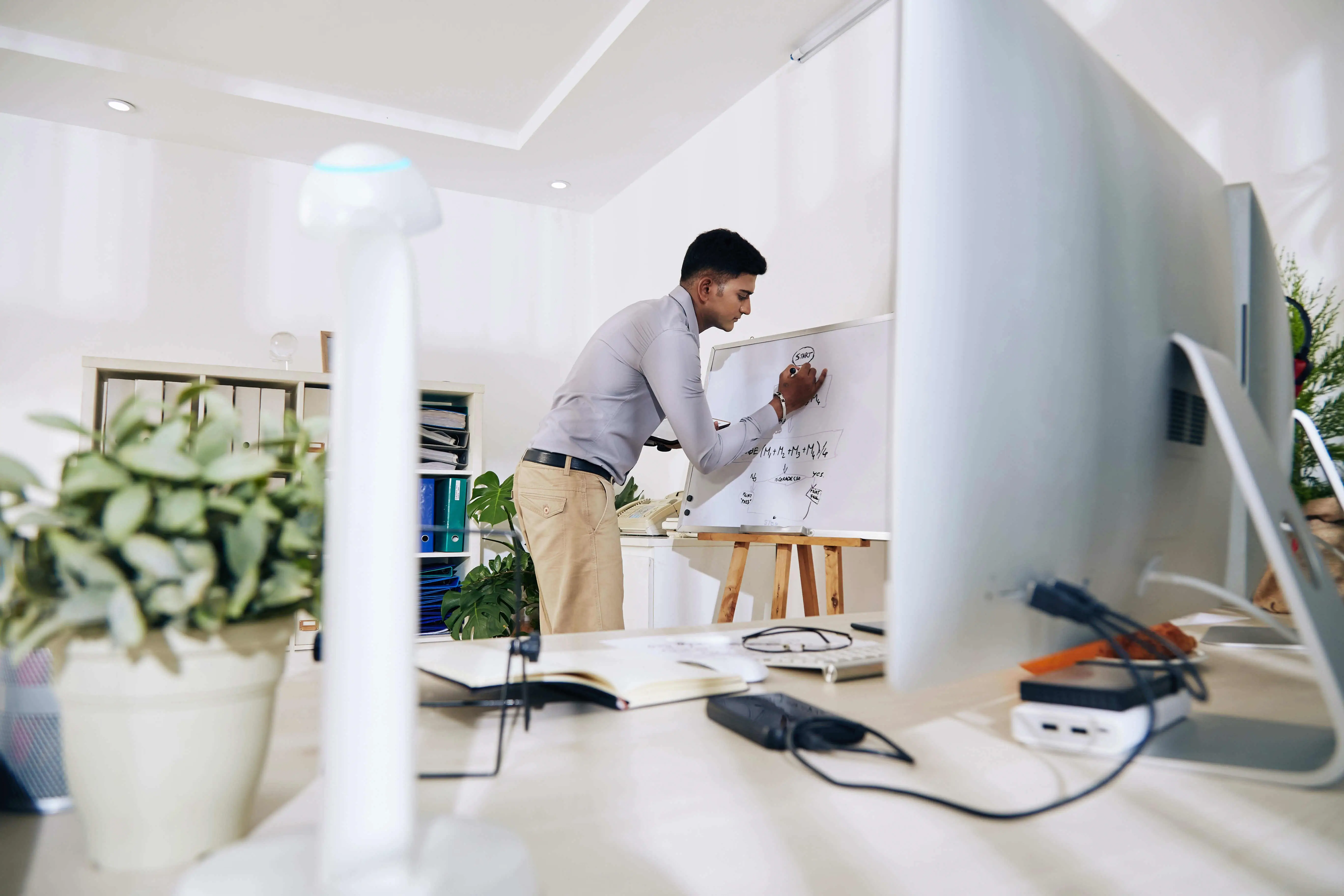 Software Consulting